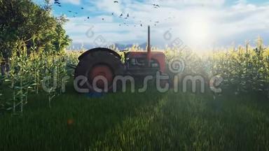 清晨，一辆旧拖拉机站在玉米地附近. 农业和环境。
